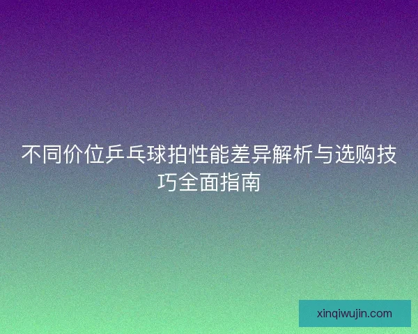 不同价位乒乓球拍性能差异解析与选购技巧全面指南